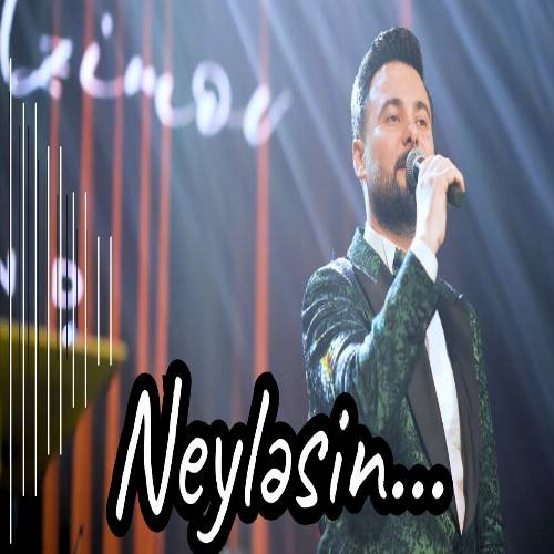 دانلود آهنگ روبایل عظیمو - نیلسین | Rubail Azimov  – Neyləsin